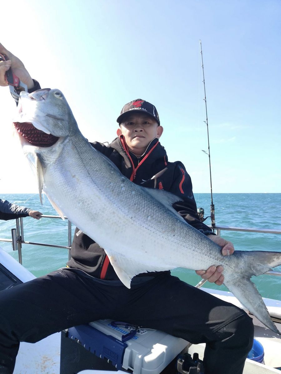 advanced-fisher-chub-mackerel.jpg