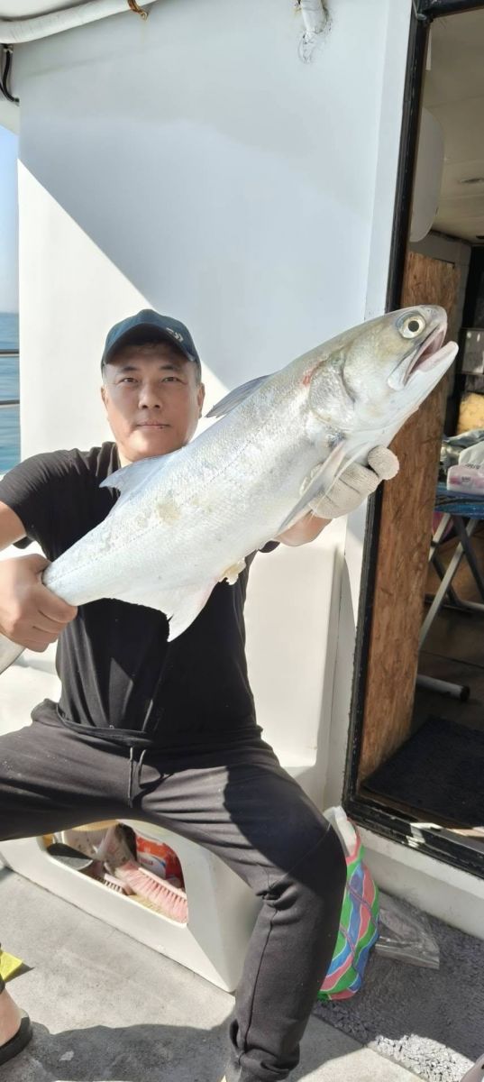 advanced-fisher-chub-mackerel.jpg
