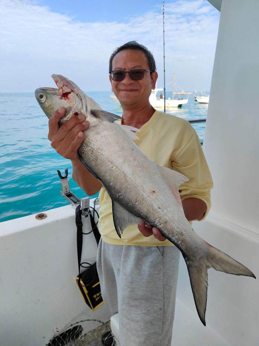 advanced-fisher-chub-mackerel.jpg