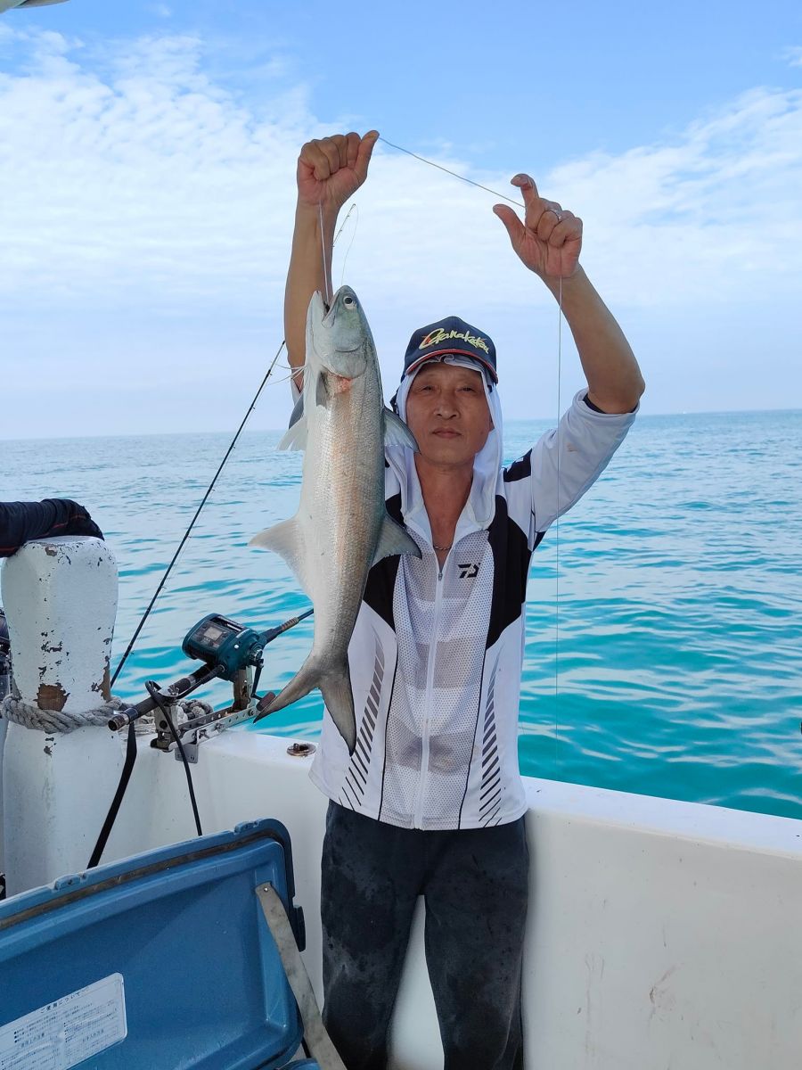 advanced-fisher-chub-mackerel.jpg