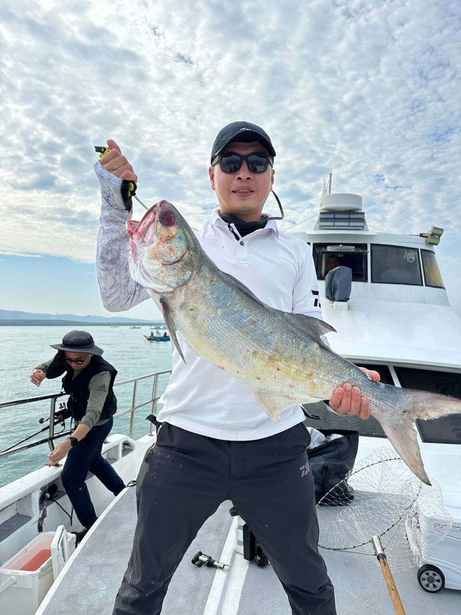 advanced-fisher-chub-mackerel.jpg