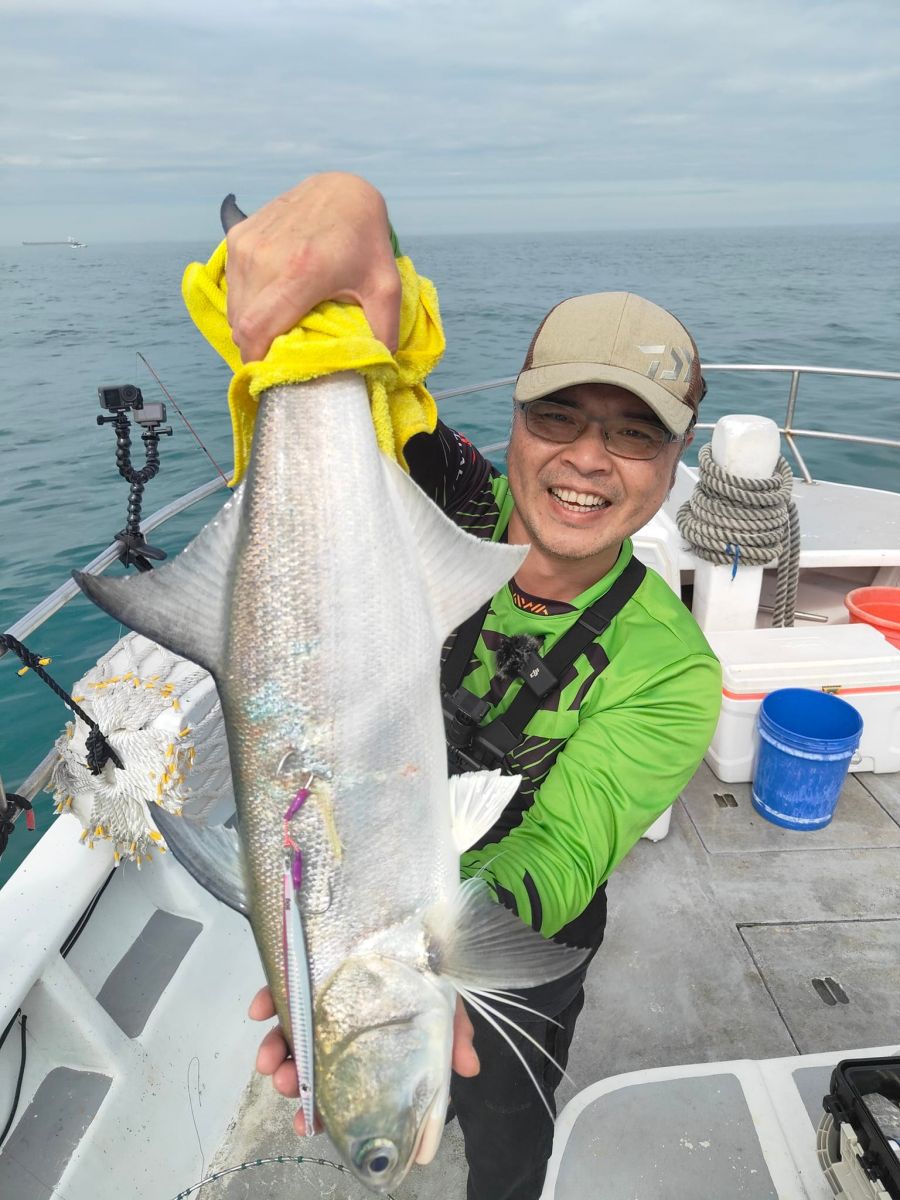 advanced-fisher-chub-mackerel.jpg
