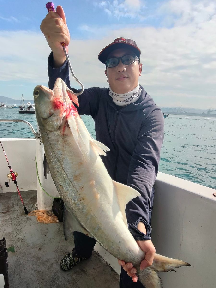 advanced-fisher-chub-mackerel.jpg